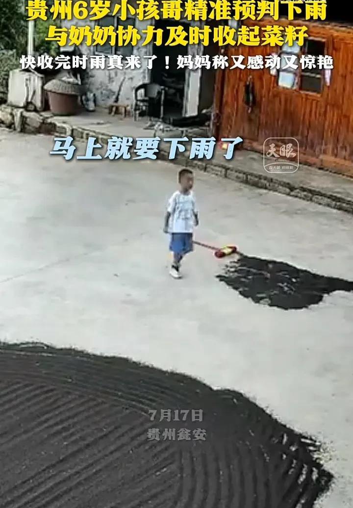 太神奇了！7月17日，贵州瓮安一名女子发视频称，婆婆在家晒菜籽时，6岁的孩子在旁
