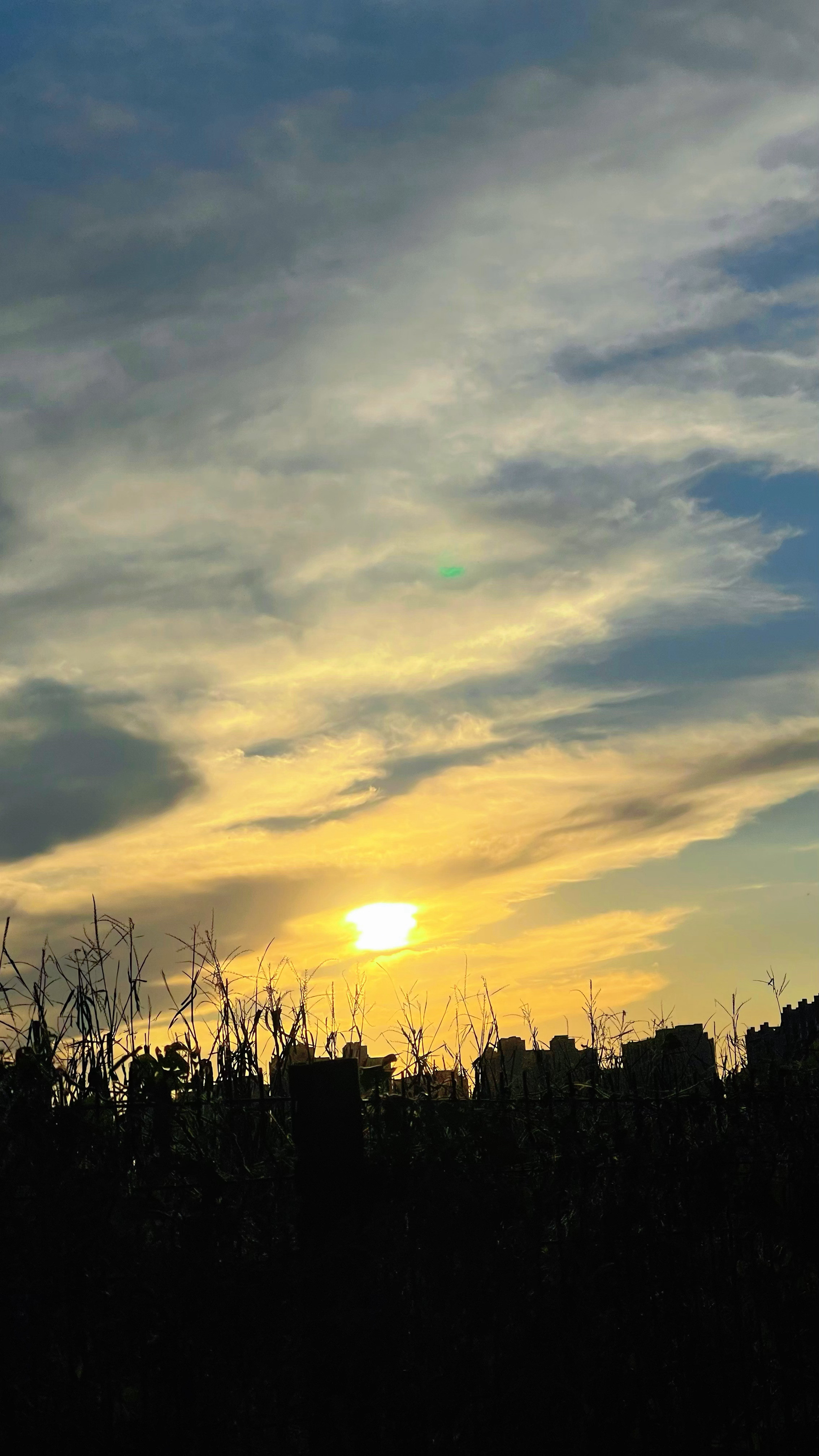 今日外出骑行🚴‍♀️🚴🚴‍♂️偶遇漫天铺撒的五彩晚霞🌅🌄🌇🍃🌸！