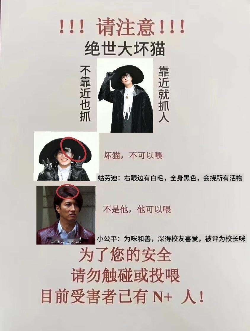 【❗绝世大坏猫❗】不可以喂