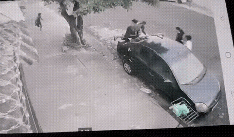 很奇怪。这么多人怕一只汪星人？