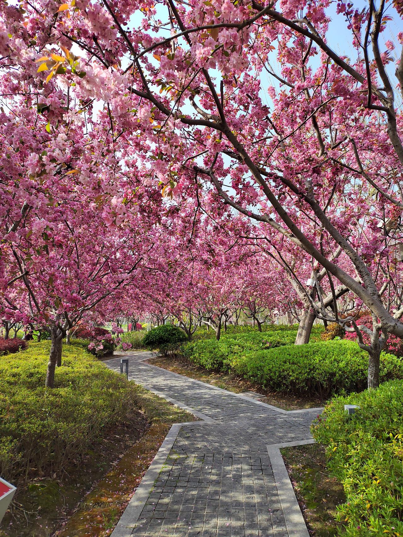 房产中介告诉我，那套我曾想买的一楼房子卖掉了。这段时间我一直在关注房子，为了方便