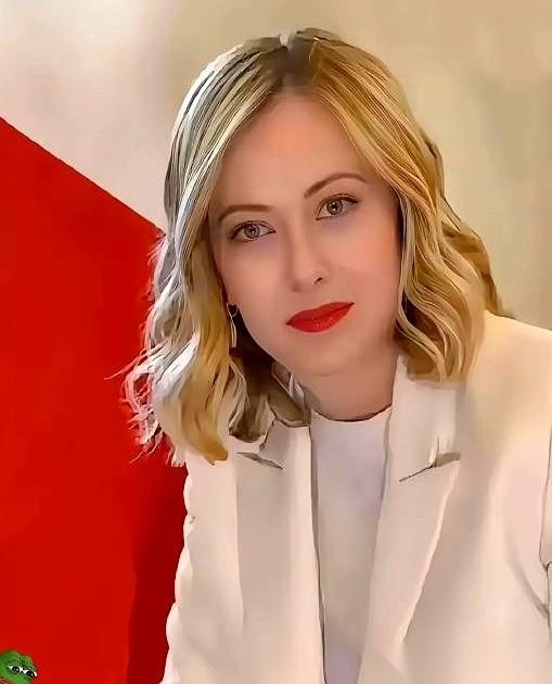 “欧盟敢组多国部队援乌，意大利绝不出一个兵！”就这一句话，整个欧洲议会大厅，死