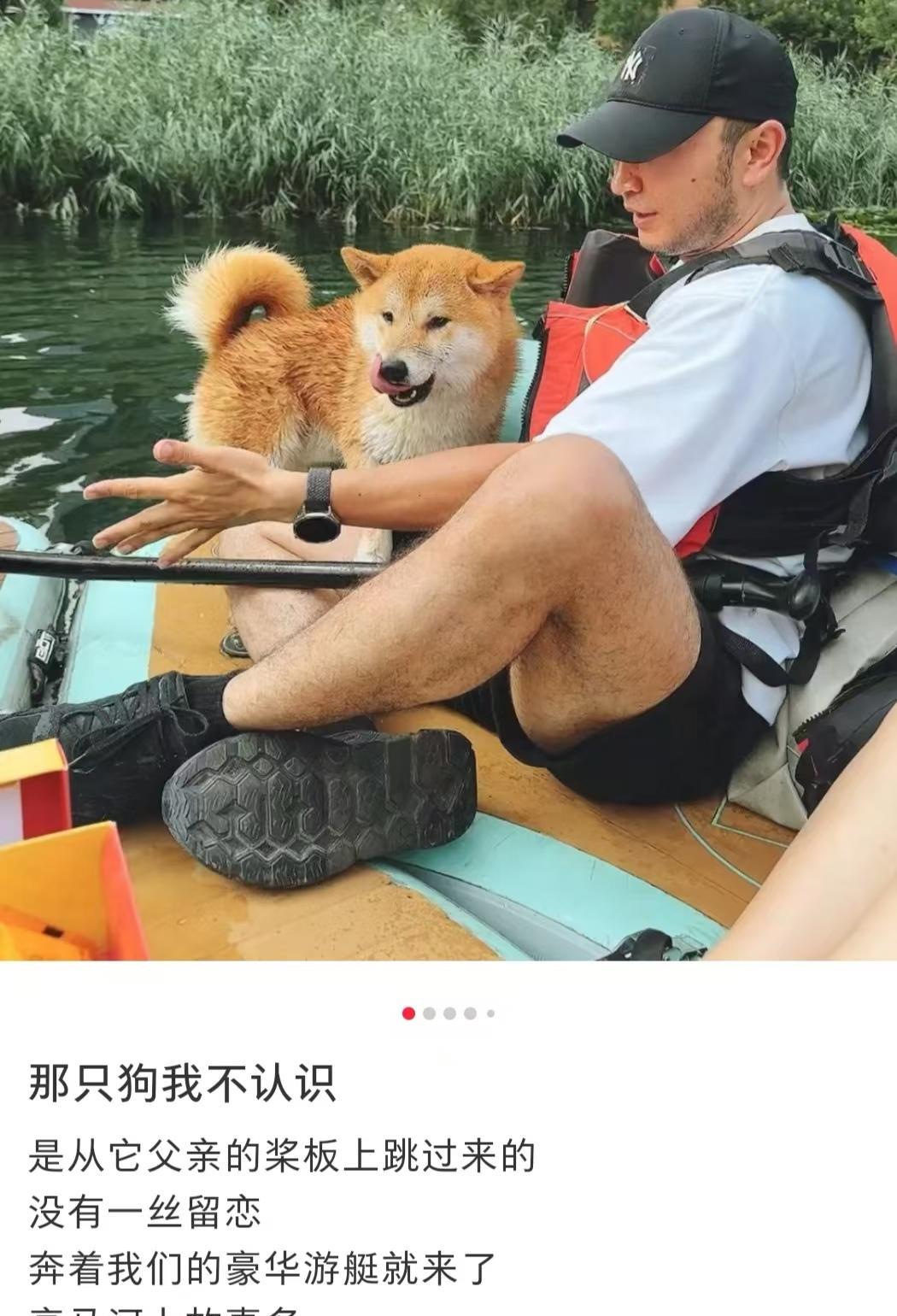 看完尼格买提刚刚分享的内容，我明白了一个道理，那就是狗狗和人一样都会往高处走。