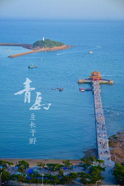 春日青岛，心之向往，想象着踏上那片土地，第一时间奔向海边。温暖的春日阳光倾洒而下