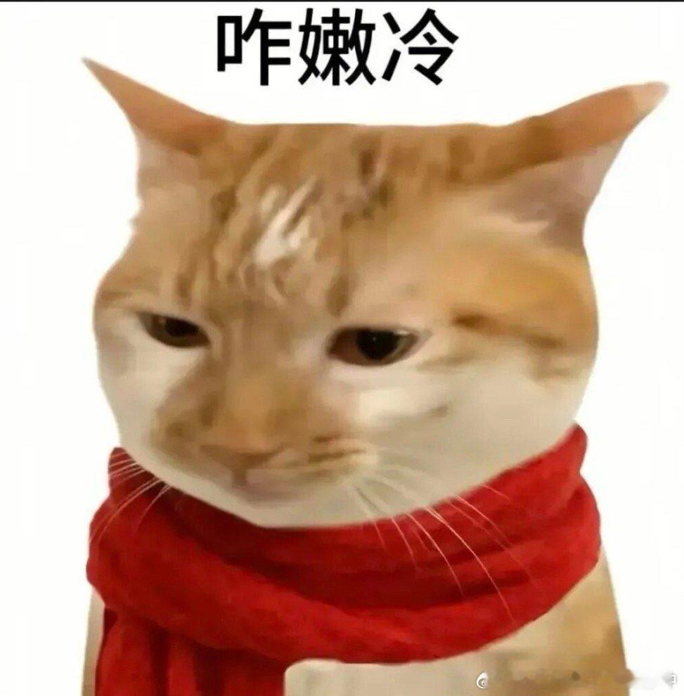 突然降温了，突然降到十几度[单身狗]​​​