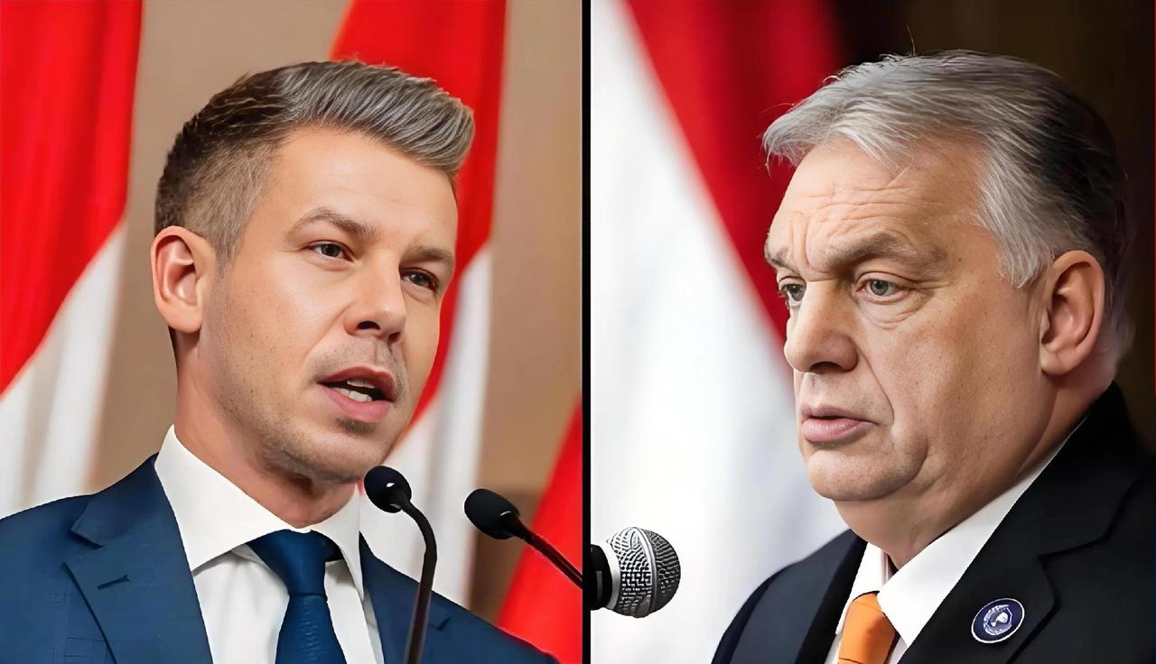 欧盟彻底傻眼了！本以为熬走了“刺头”欧尔班，扶持上来的匈牙利新总理会是个听话的“