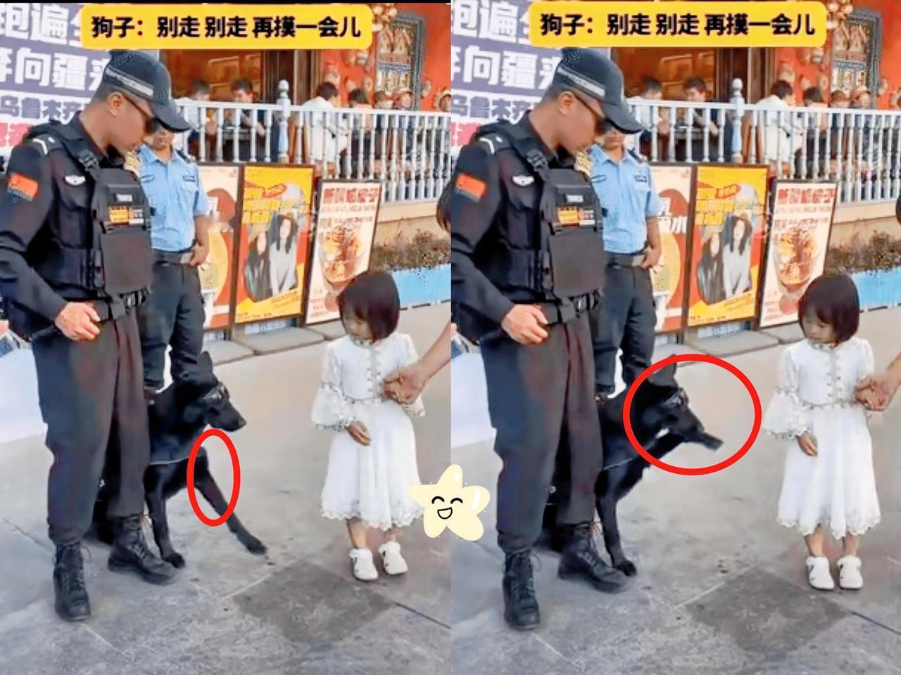 刷到街头这段视频太暖心了，警犬居然“撒娇”留小女孩！近日新疆帽子叔叔带着警犬执
