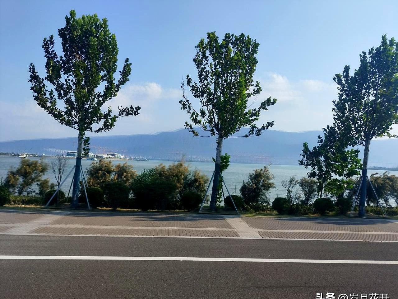 上大学，先过钱包这关，真账一摊谁不心虚。家里孩子上民办本科，学费一年20800