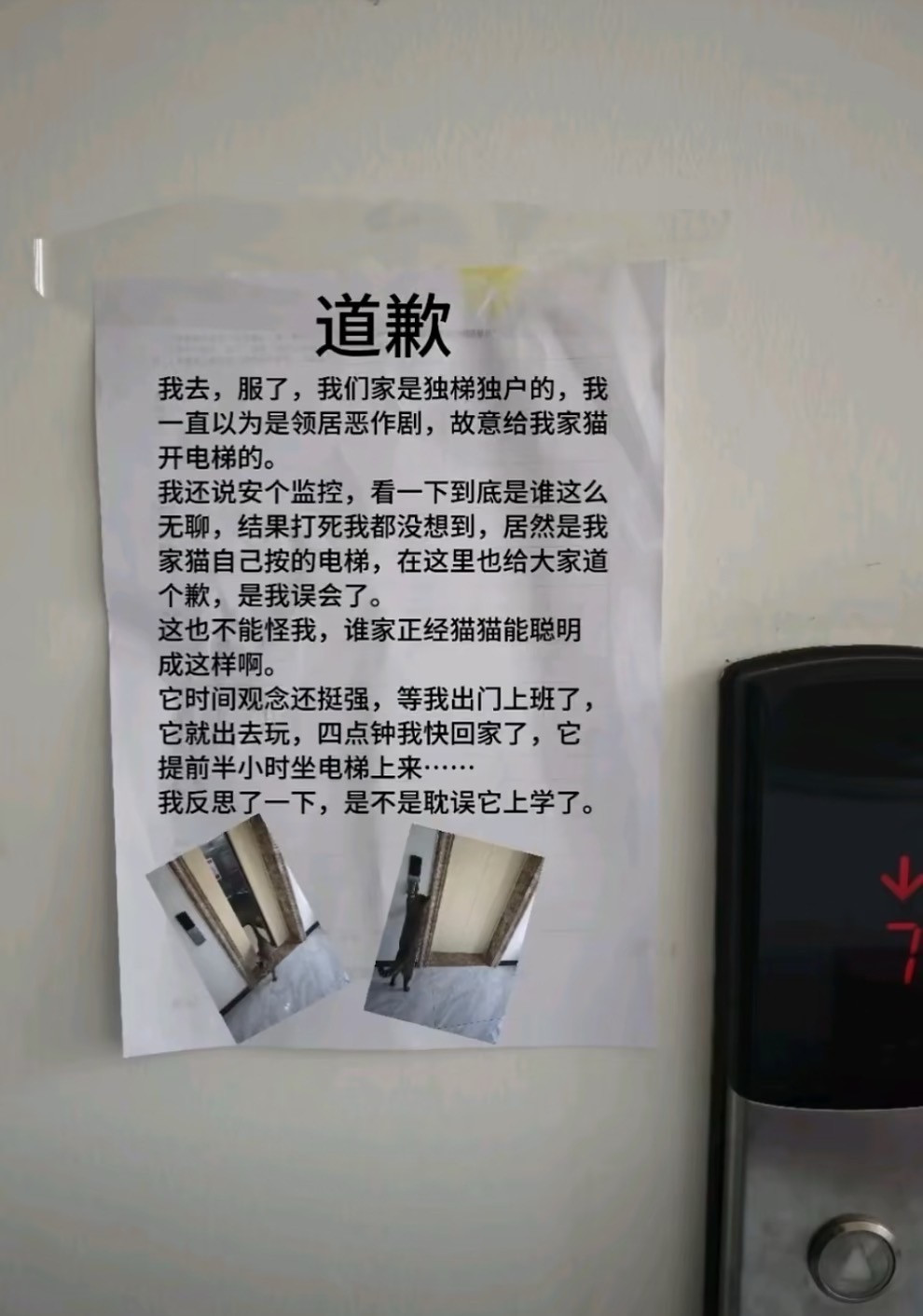 这猫成精了吗？不是说建国后不允许动物成精吗？​​​