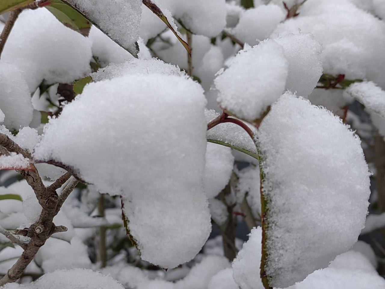 一职校班主任，平时非常关爱学生。某天，毕业了几年的学生来电：公司拖工资俩月，突