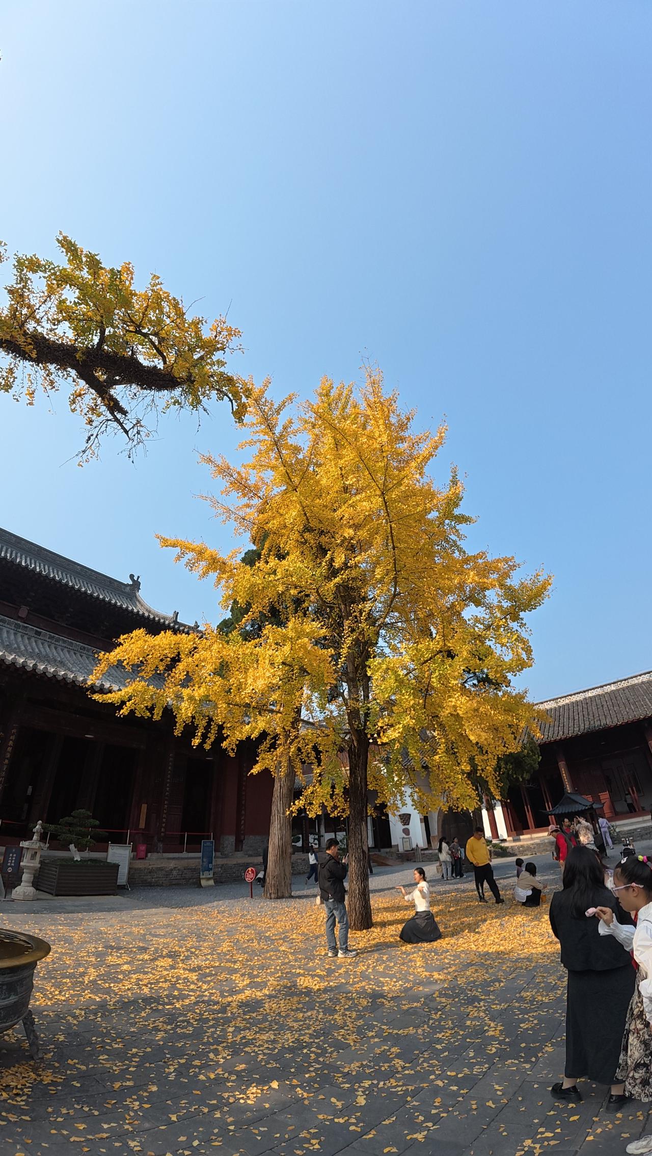 一眼沦陷的神级美图