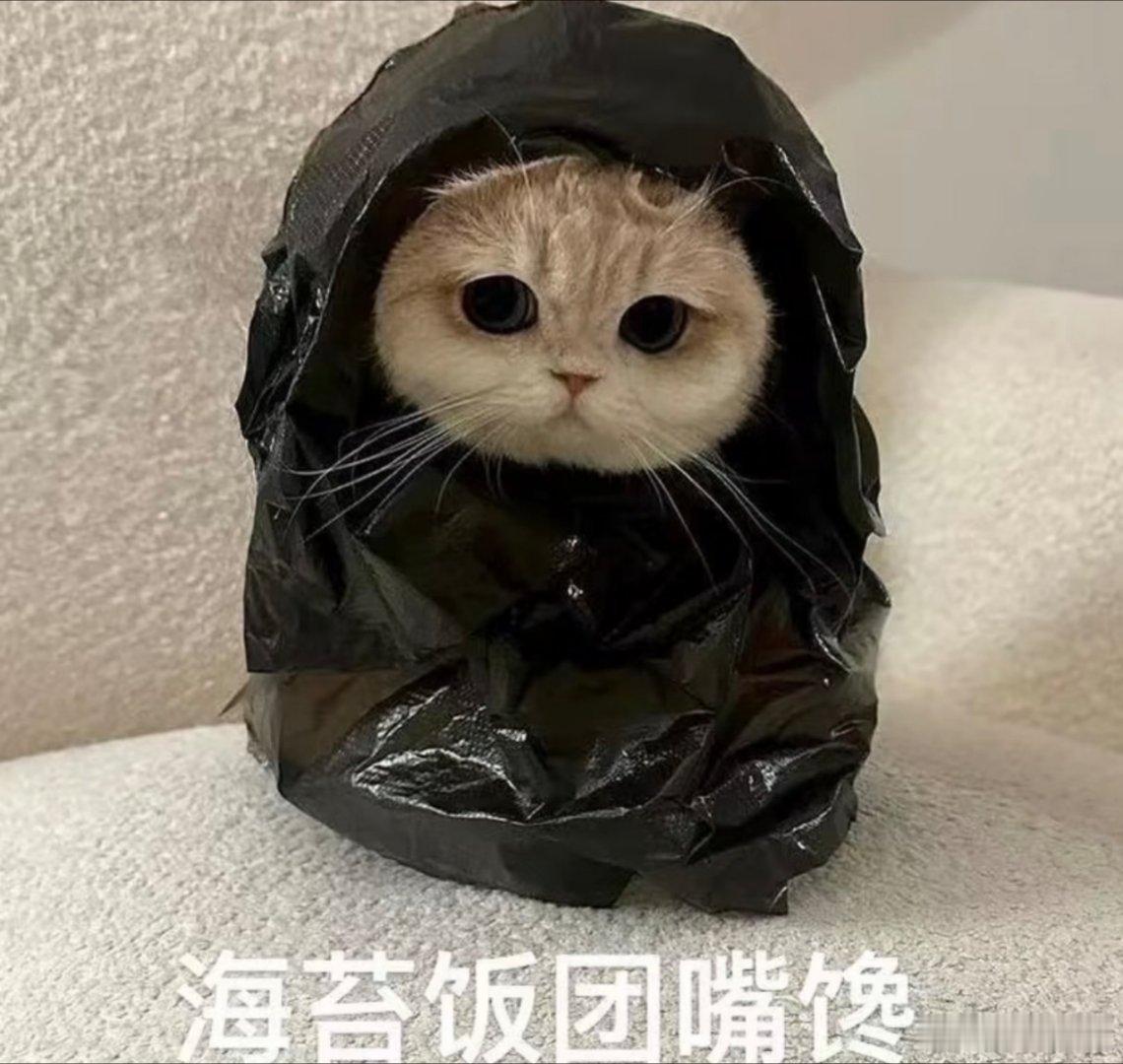 搞笑表情包。​​​
