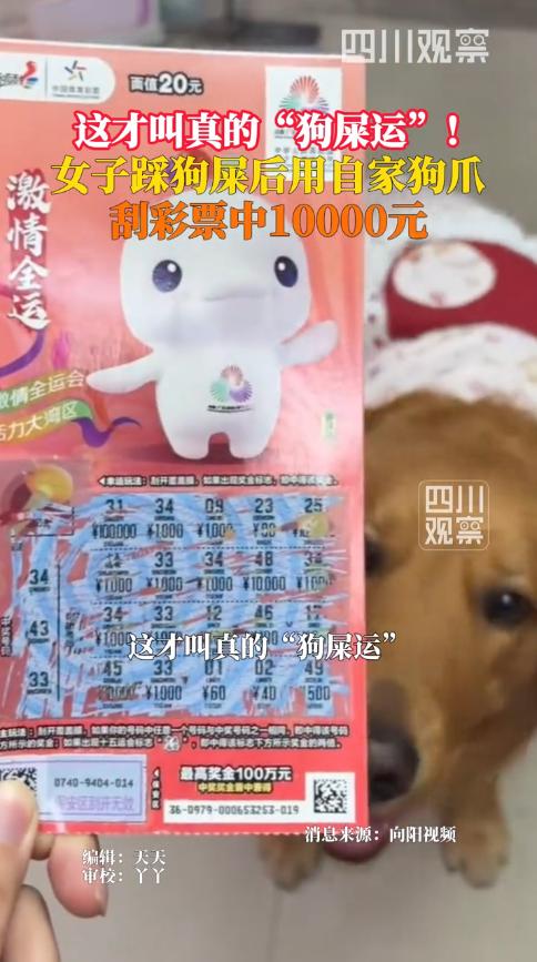 这才叫“狗屎运”！12月2日，广东深圳，一女子晚上遛狗时，不小心踩到了狗屎，于是