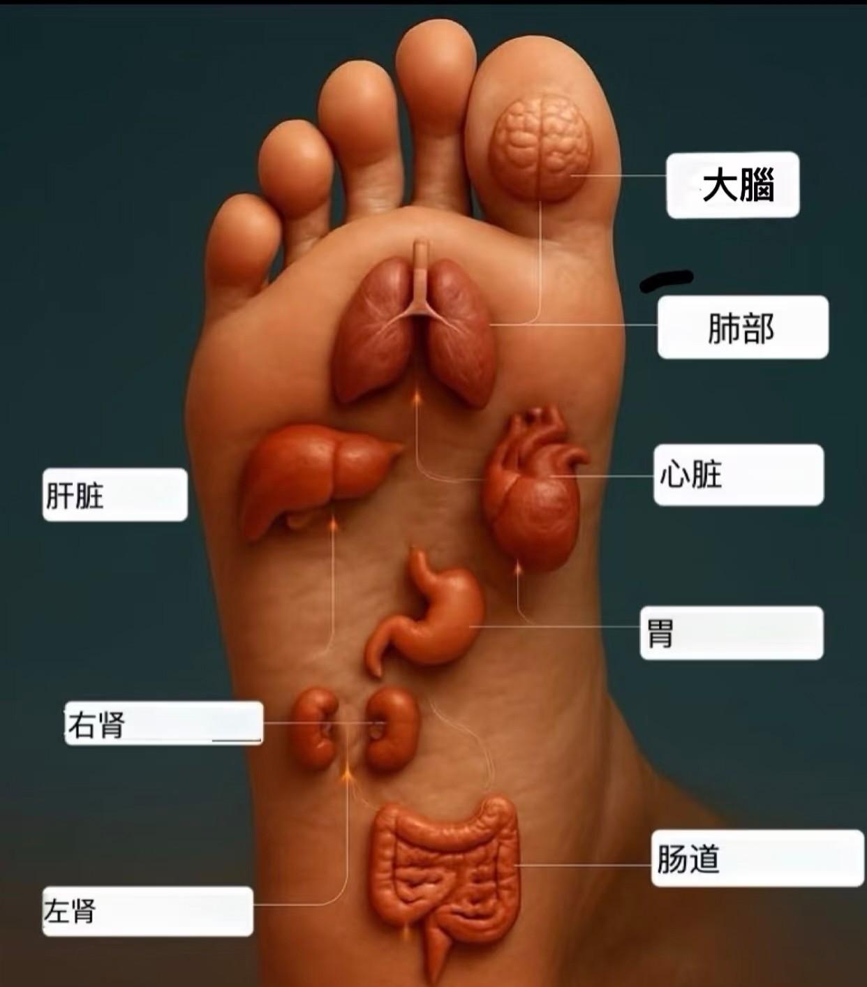 好醒目，一看就懂。养生