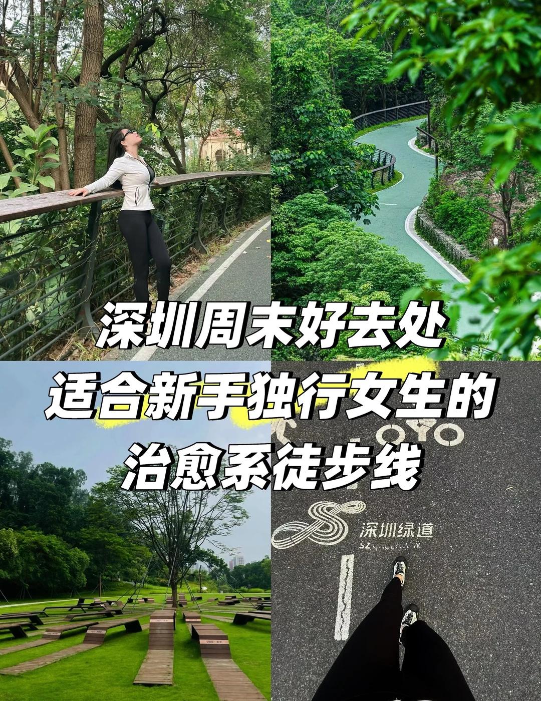 一个人爬完这条“人才绿道”，我才读懂深圳……这条藏在深圳北站旁的宝藏徒步线，简