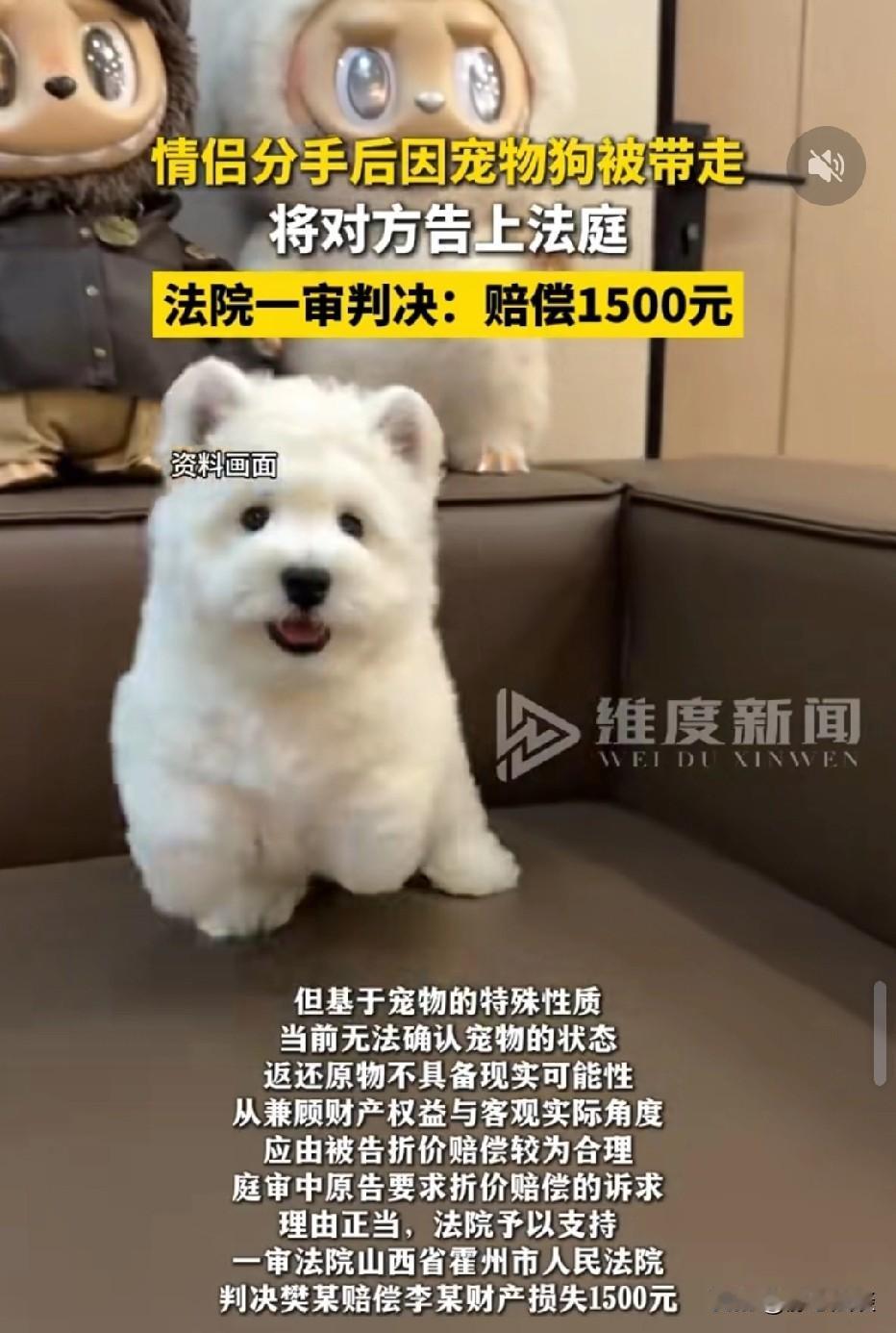 山西霍州，一对情侣共同养了一条宠物狗。其中一方出资购买小狗，两人一起饲养。不料，