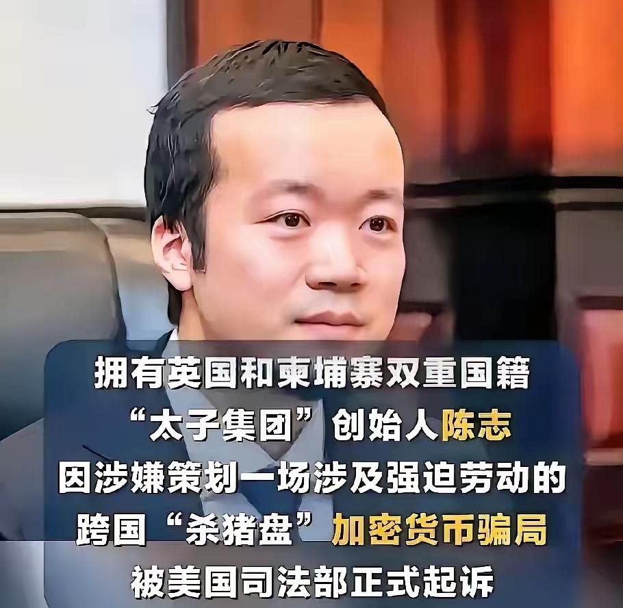真没见过这么“作死”的诈骗团伙！陈志这帮人胆大包天，不仅害了韩国人，还骗了英国公