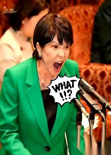 “会不会要求老百姓节电？”4月2日，这个问题，直愣愣地砸向了日本众议院会场上的