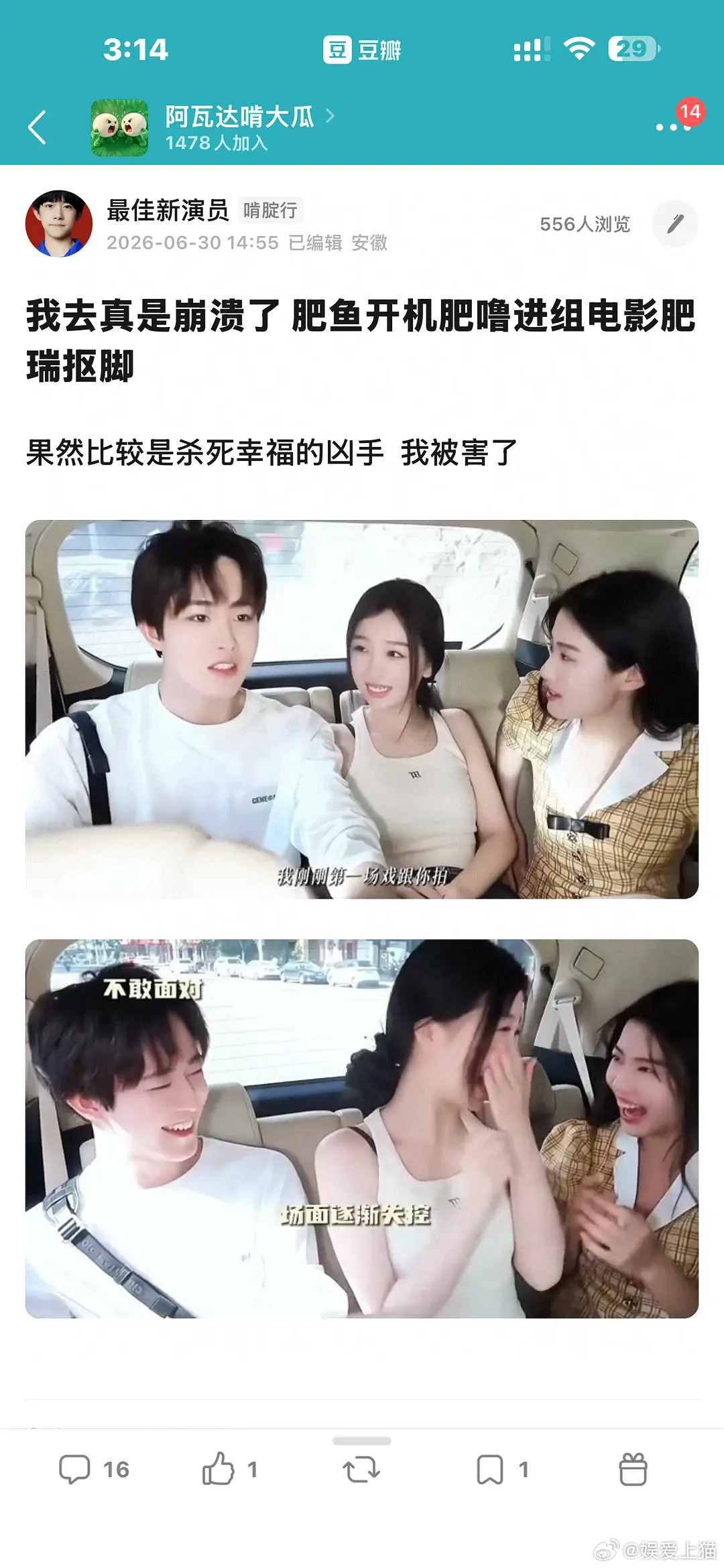 退网了你们满意了