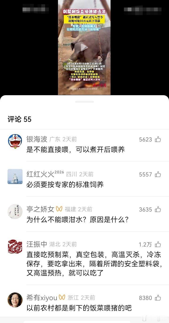 【剩菜剩饭直接喂猪违法！“泔水喂猪”被正式写入禁令，违规可处10万元以下罚款】这