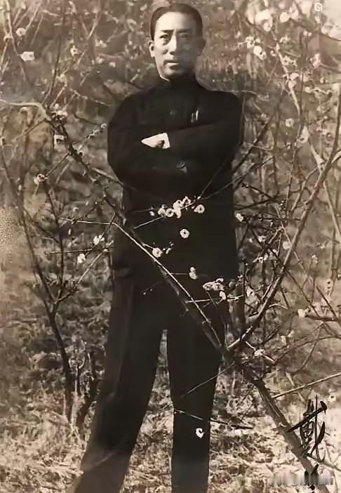 看完戴笠死后的抄家清单，真觉得这世道荒诞。地窖里3000根金条，满屋奇珍，