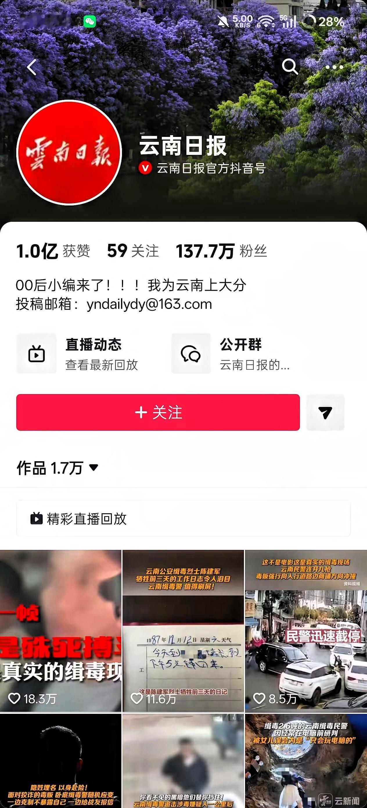 云南日报连发10条禁毒消息，这背后究竟有着怎样不为人知的付出？云南守着4060公