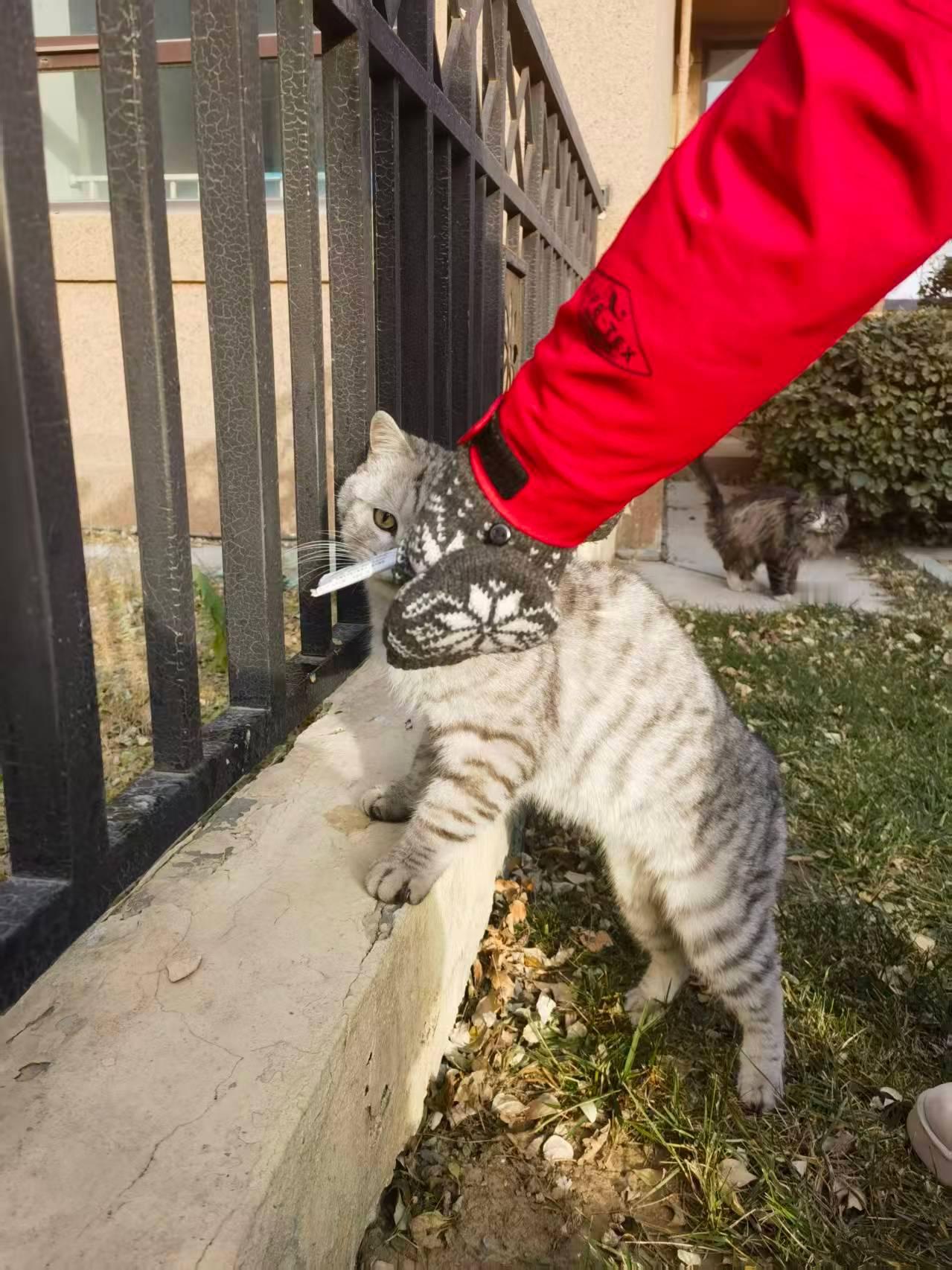 *碎碎念*猪肉白菜韭菜木耳馅儿饺子。韭菜跟白菜各不到半斤，猪肉六两，饺子皮1斤1