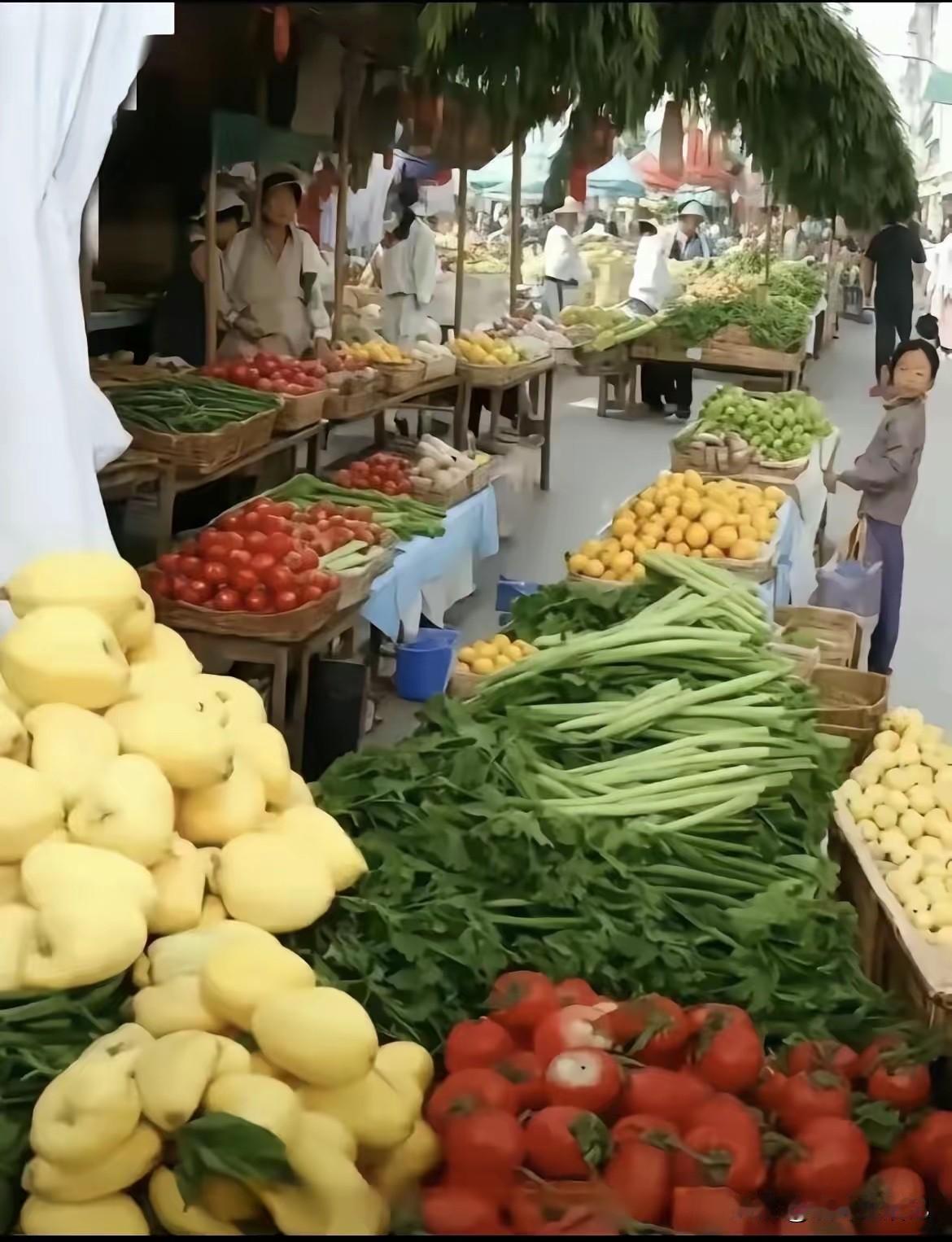 看看人家这蔬菜，多新鲜。