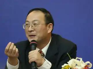 金灿荣教授有一句话说得非常好，他说“今天移民日本，就像1945年参加伪军，就像1