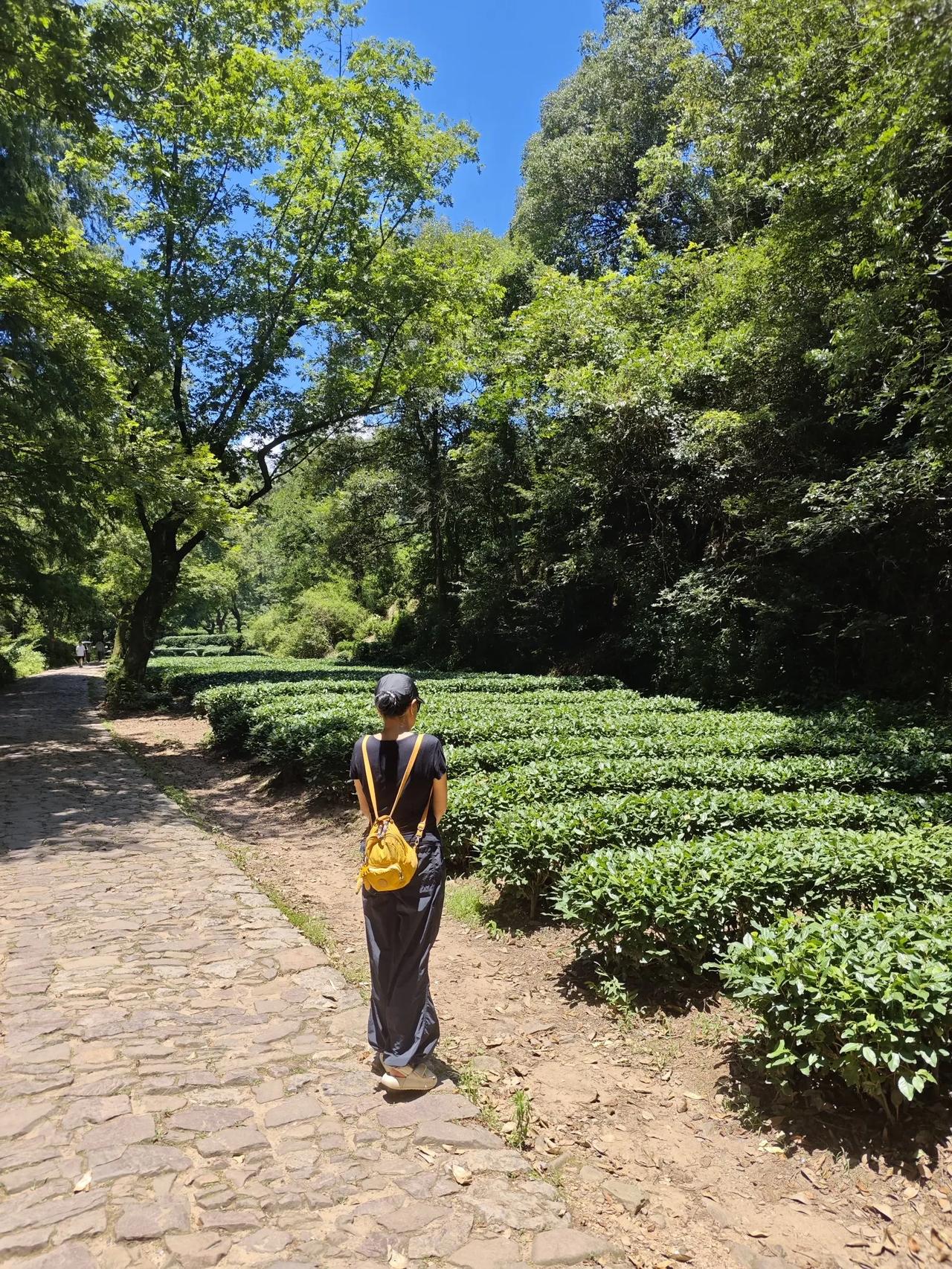 杭州西湖美景盖世无双，杭州的九溪十八涧也是美不胜收！来到九溪穿过弯弯曲曲的小路