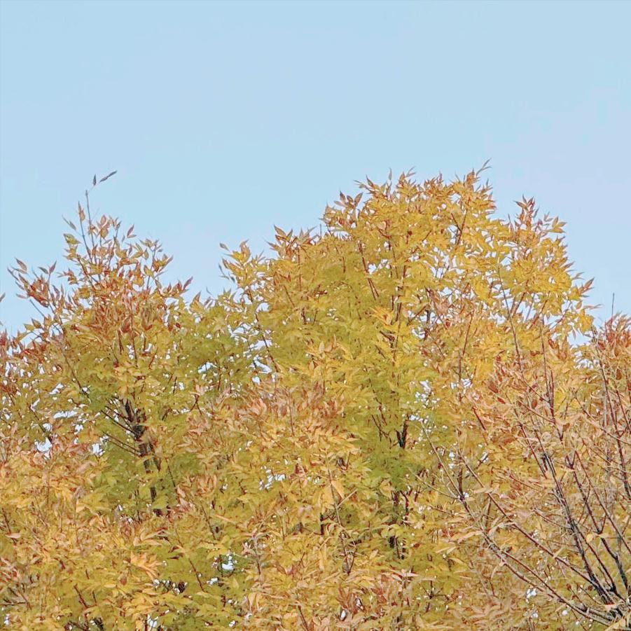 山西：今天党纪政务处分2人 12月14日10:00，山西：党纪政务处分2人，