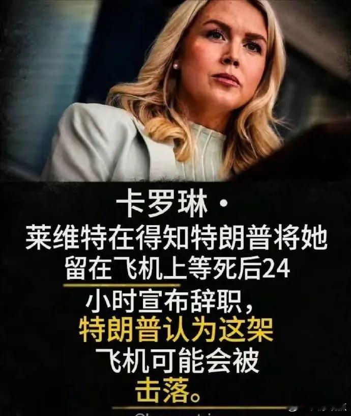 白宫发言人莱维特突然辞职，派大星临危受命接受白宫发言人一职。从此派大星...