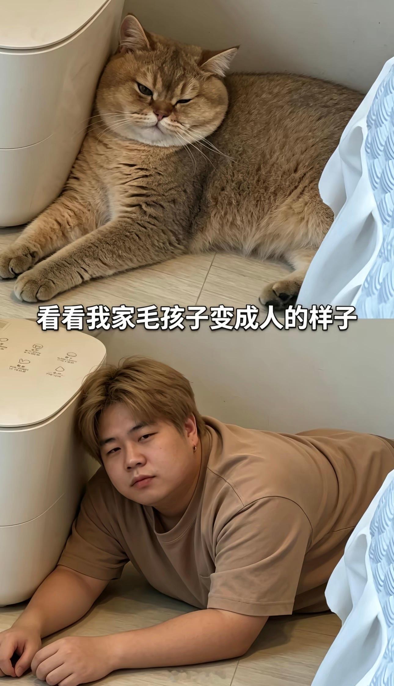 这下好了，碰翻东西舍得打了