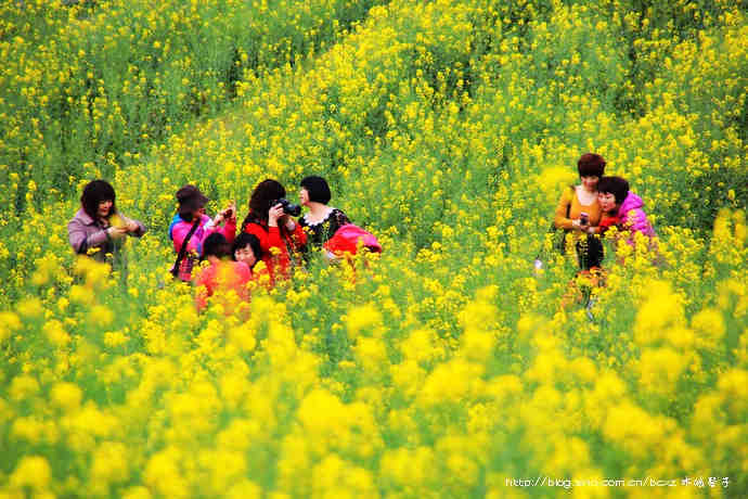 阳春三月，婺源喊你去看花春天了，带着孩子们，陪着爱人们，一起走田