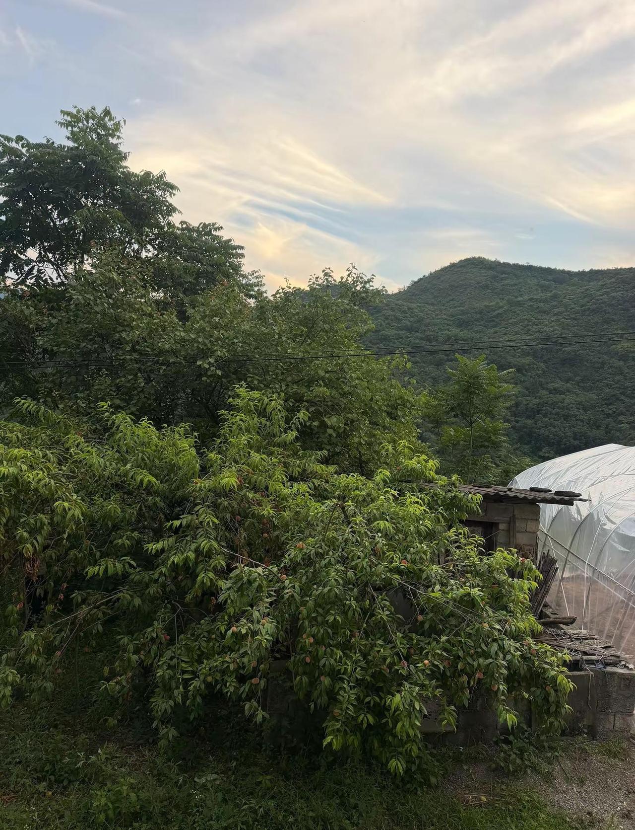 要谈就谈个能结婚的对象，不要耽误彼此的时间，也不要只会说漂亮的话，世界上有很多漂