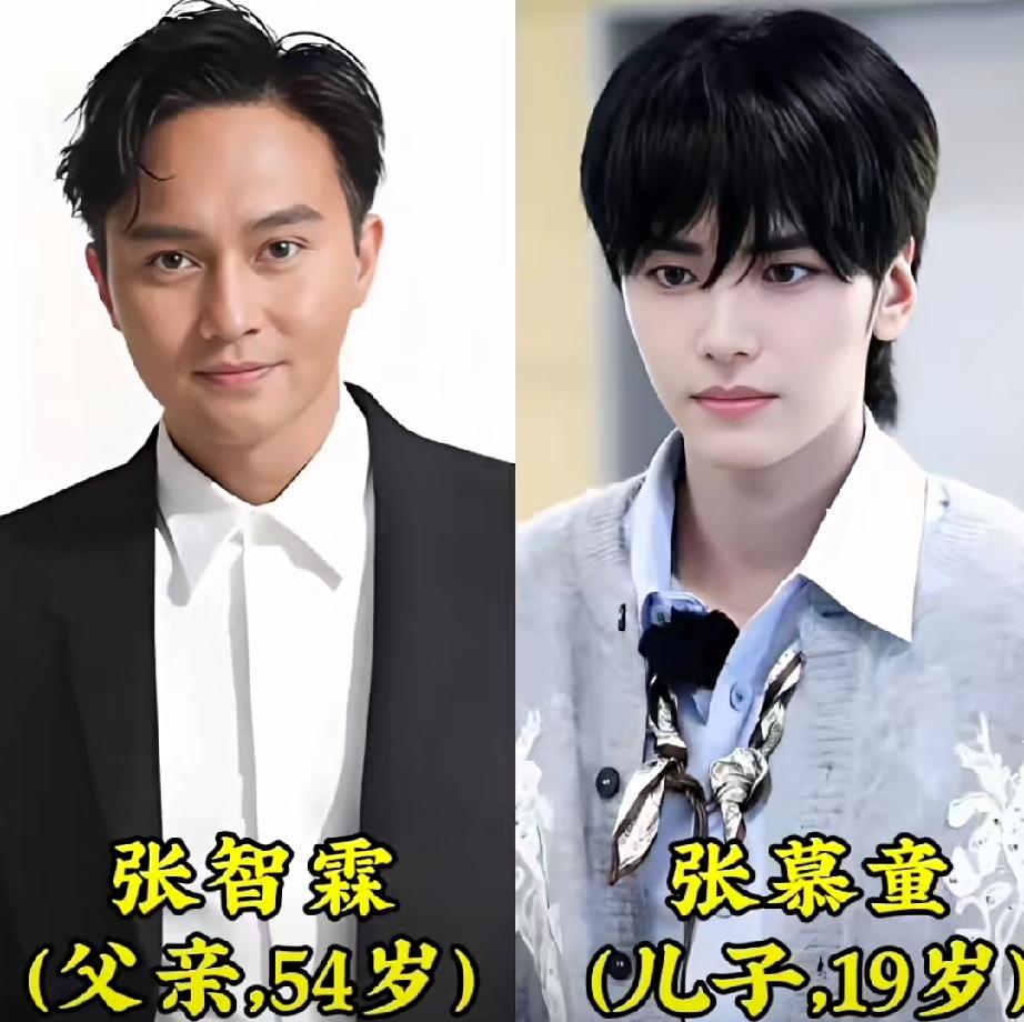 娱乐圈父子颜值对决｜谁的遗传基因赢麻了？张智霖/陈小春/陈晓/刘烨/沙溢/邓超