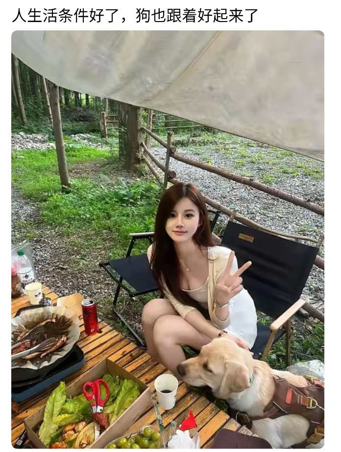 不明白，为什么漂亮女人不是养猫就是养狗呢？