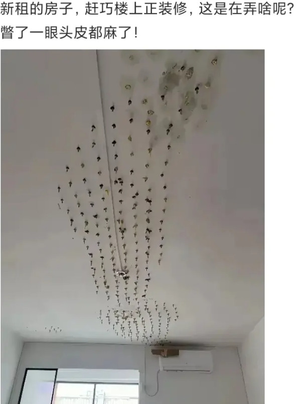 新租的房子，楼上这是在弄啥呢