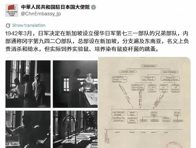 中方没惯着，打脸太快了！新加坡总理黄循财偏袒日本，拉偏架，没想到被中方打脸打得太