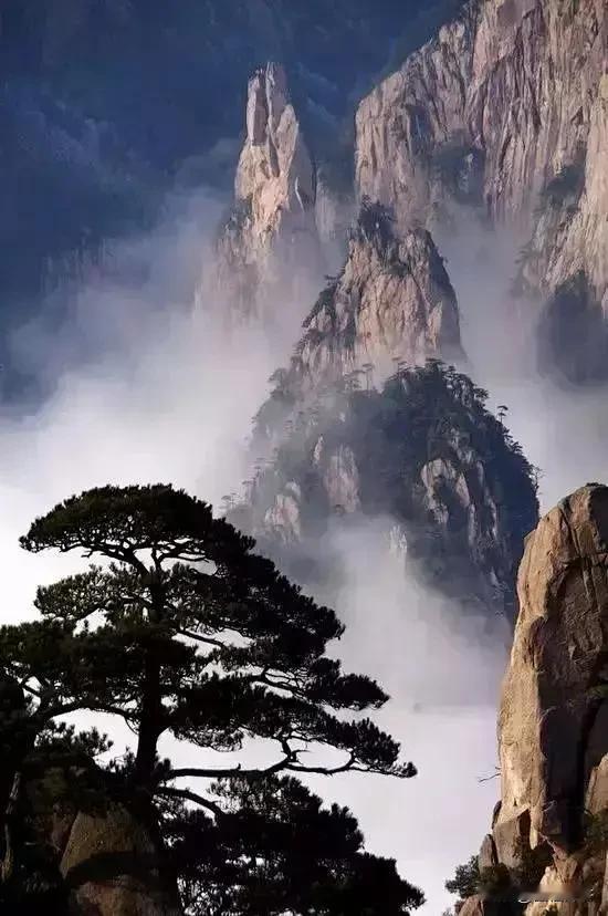 数据惊人：国人生育率断崖式下跌当下青年结婚平均大概31岁，比以前结婚平均年龄