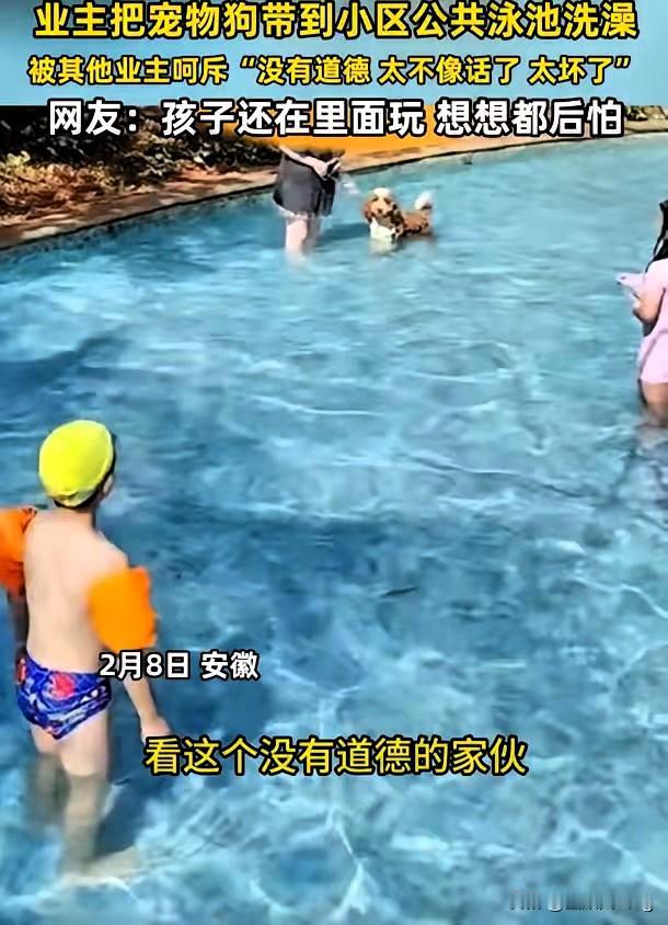 太不像话了！安徽一小区泳池，女业主竟把公共水池当成自家狗的洗澡池，当场惹怒众人。