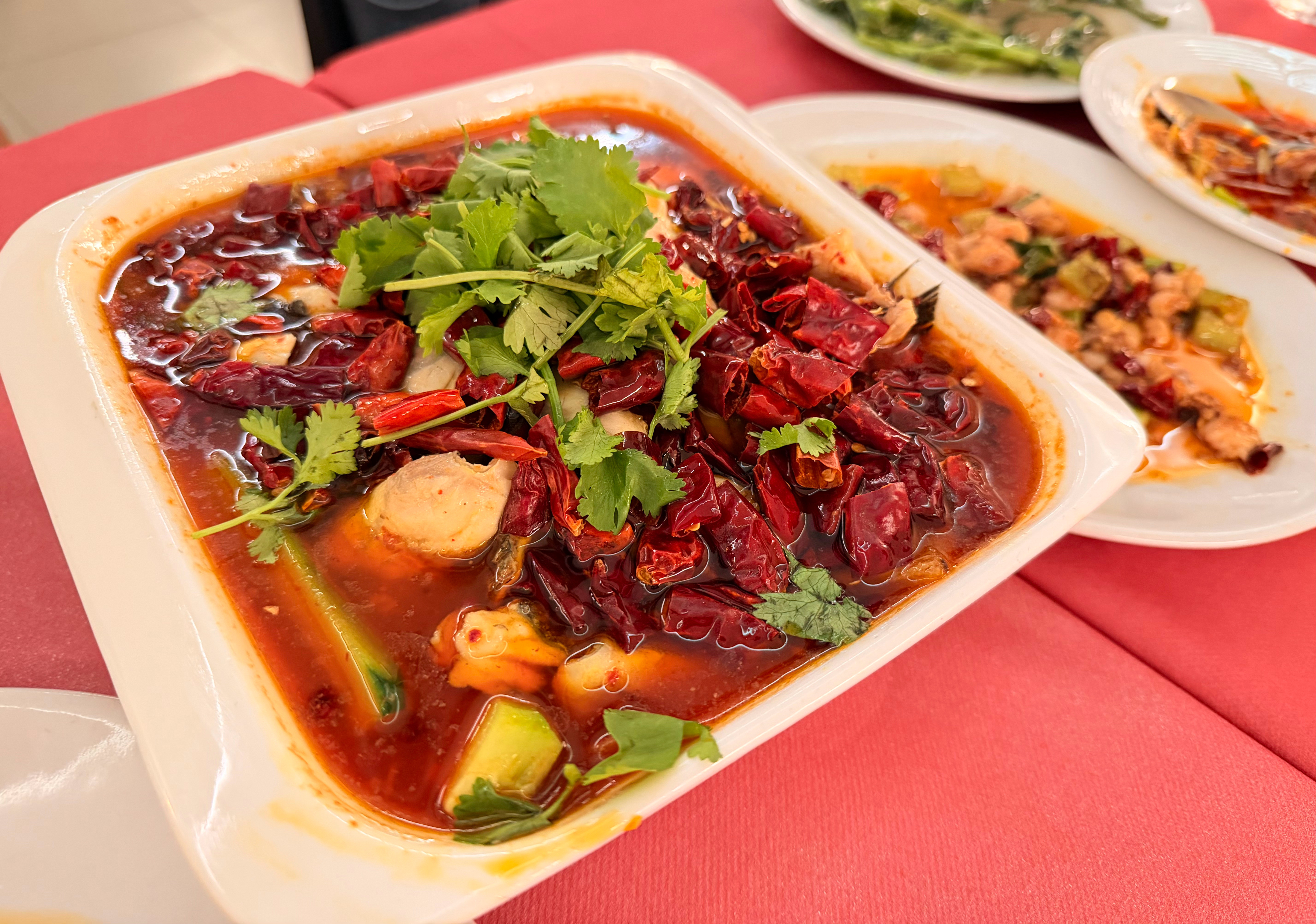感谢今晚泡老师请吃川菜，出国以来第一次吃中餐