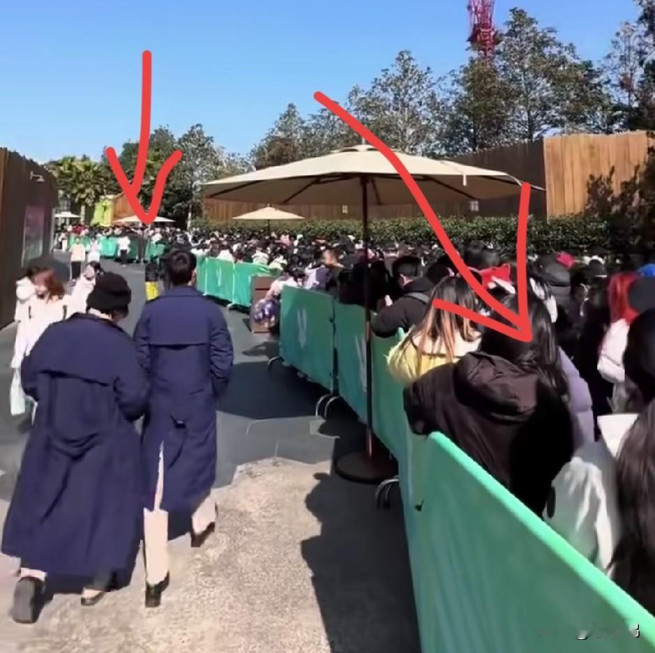迪士尼这事最新后续来了，但结果非常搞笑。官方很认真地听取了大家的意见，所以彻底给