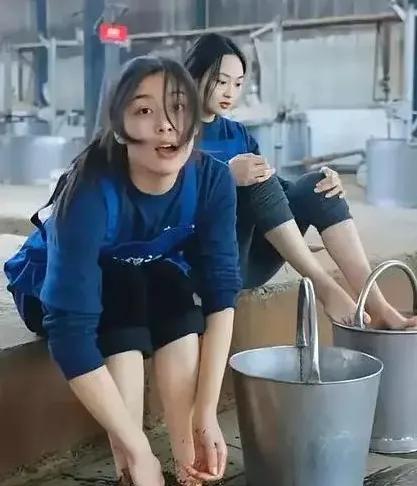 知道真相后，不敢喝茅台了！原来茅台酒是用脚踩出来的，在45°的车间，每人每天踩