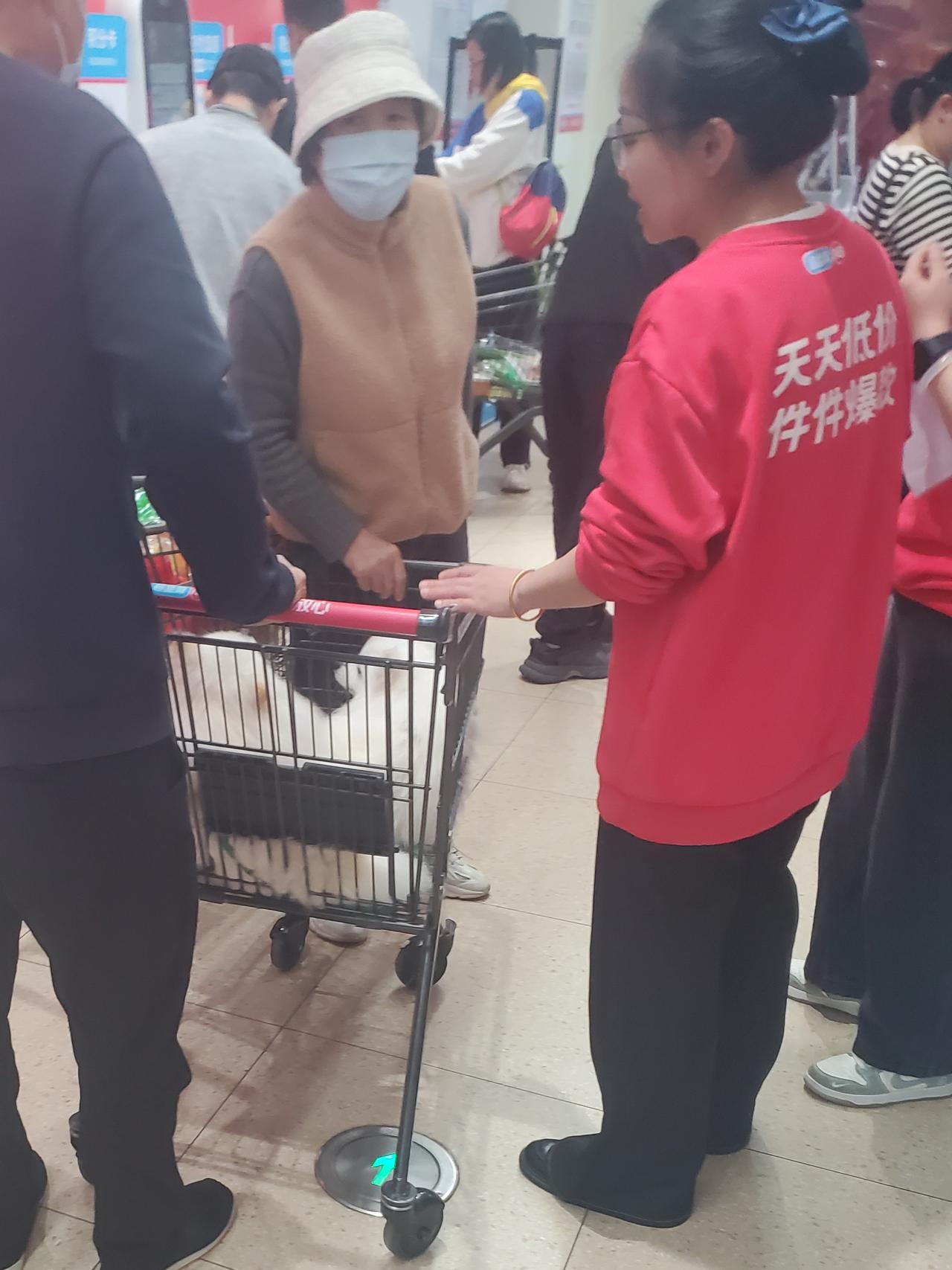 盒马超市竟然可以随意遛狗？货架上的肉不会被狗舔过吧？🌿，好恶心