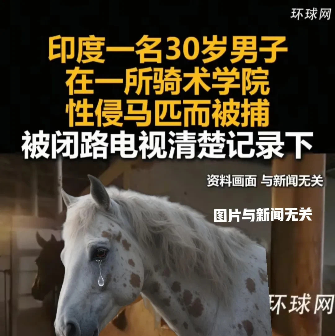 环球网替印度马发声---这事儿真
