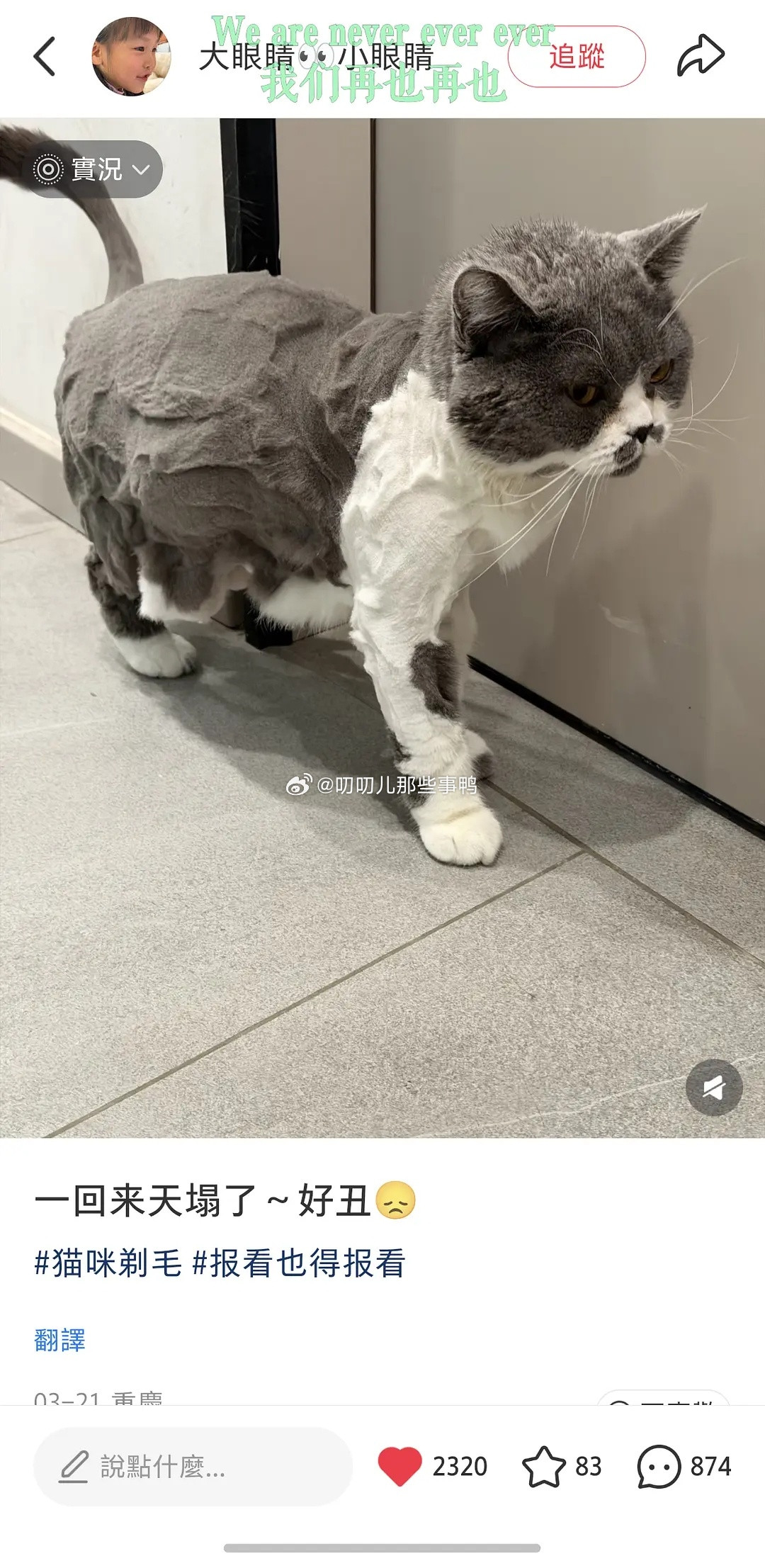 千姿百态的小东西们～