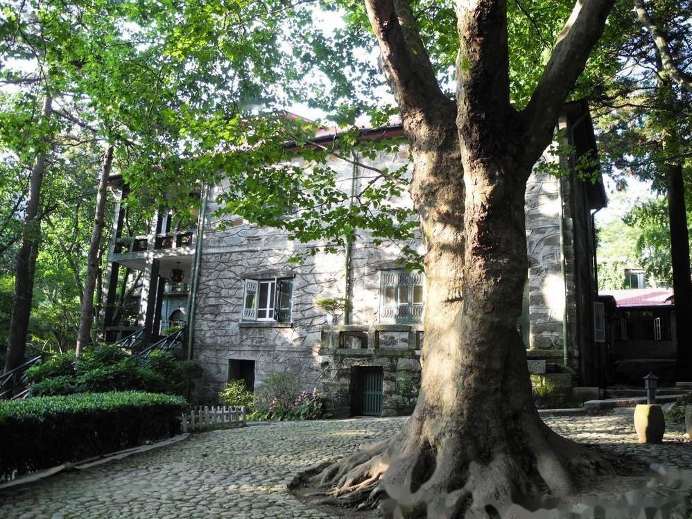 当初老蒋到了夏天的时候，由于没有空调，于是搞了个避暑山庄，庐山，泰山都不太理想，