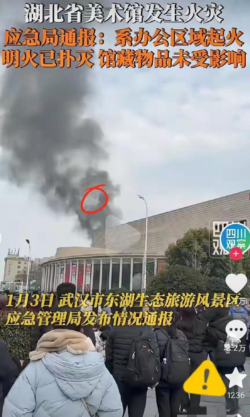 湖北美术馆这一把火，烧得真是时候，直接把我看笑了。这剧本是不是有点太熟悉了？