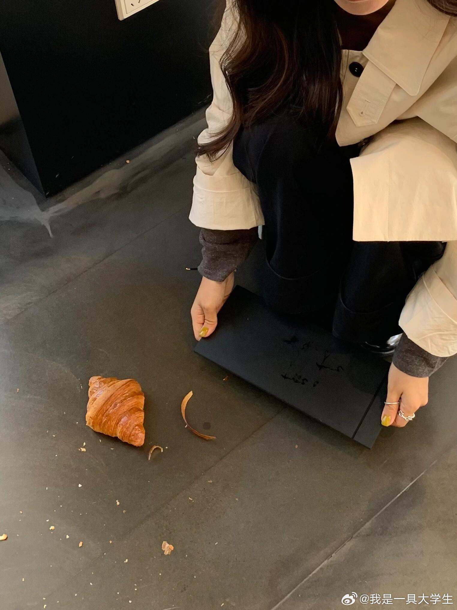 人怎么这么会捅篓子🥐一只可颂的前一秒与下一秒